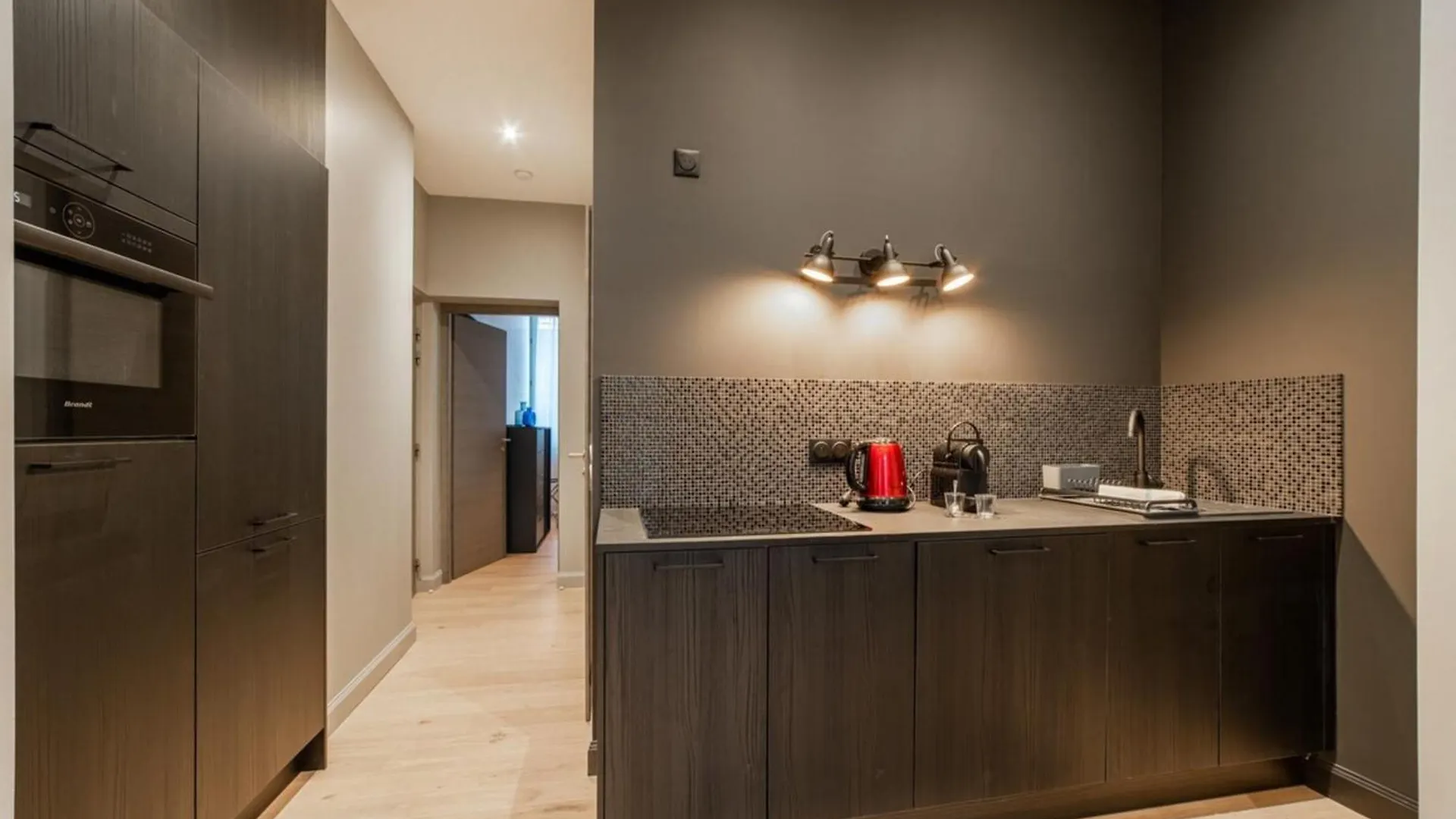 Kemp Furnished Flat Apartment Aix-les-Bains